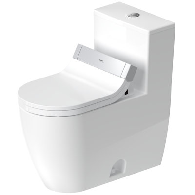 Dual-Flush Elongated One-Piece Toilet (Seat Included)