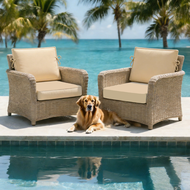 24 x 28 In Patio Furniture Cushions set of 2, Fade Resistant Outdoor Seat Cushions witj 4 pairs of Ties, Deep Seat Cushion for Seat Patio Chairs, Rattan Furniture, Wicker Seating, outdoor Adirondack Chair, Khaki
