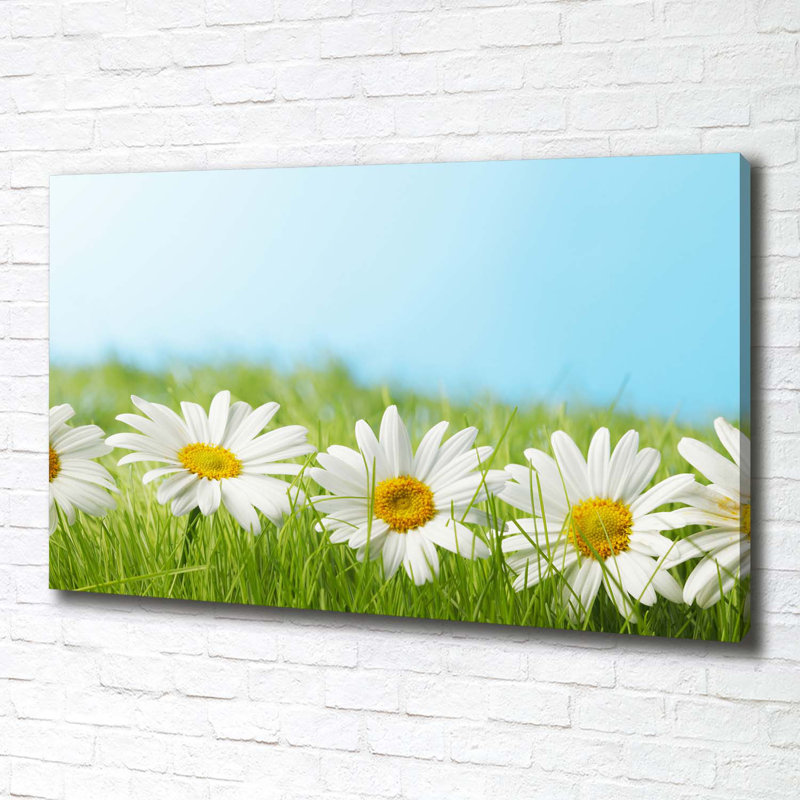 Daisies - No Frame Print on Canvas