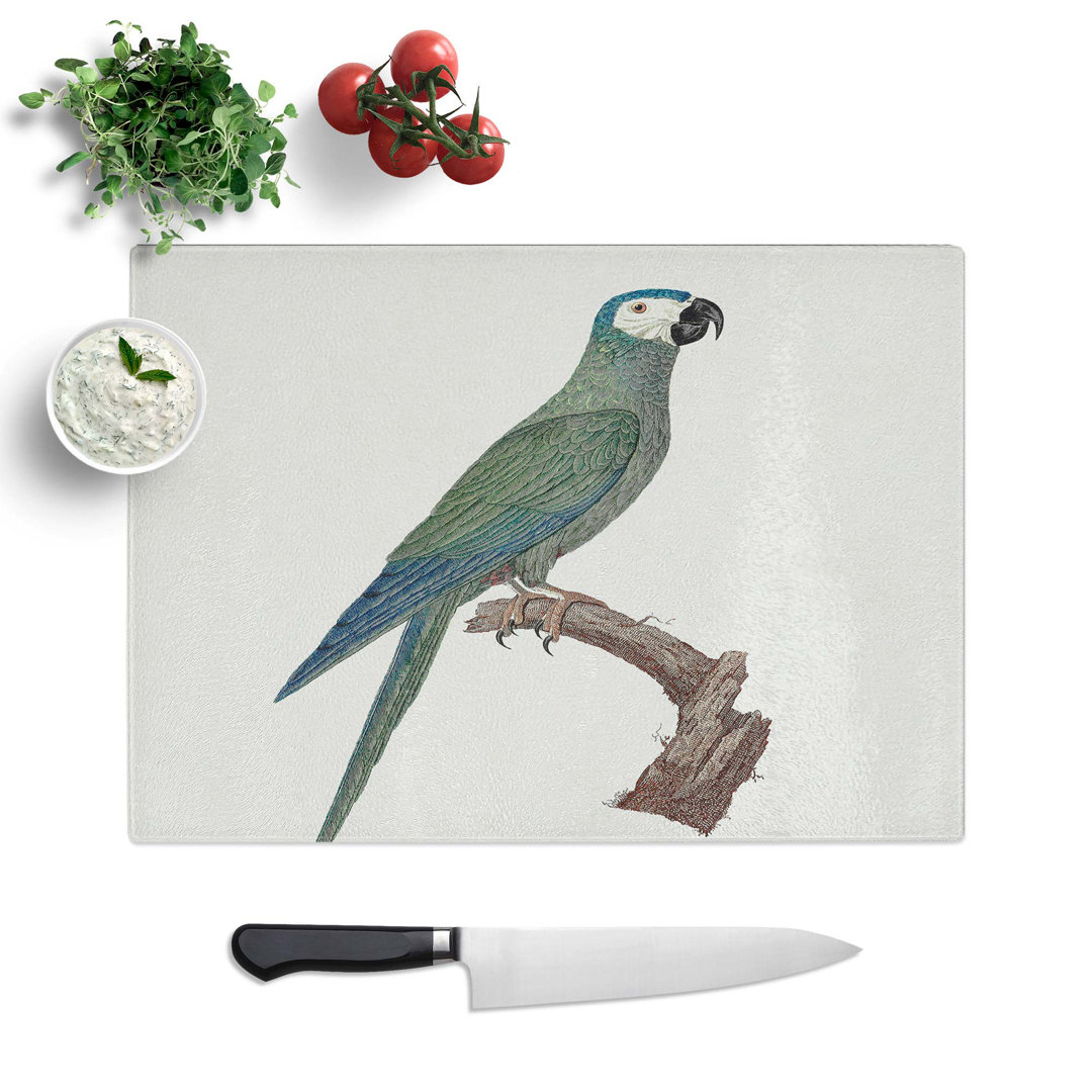 Tempered Glass Bellied Macaw Parrot by F. Levaillant Chopping Board