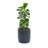 Handmade Modern Gray MgO 14.17" Round Pot Planter