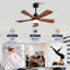 Ventilateurs de plafond noirs avec lumières et télécommande-121071284-121071281