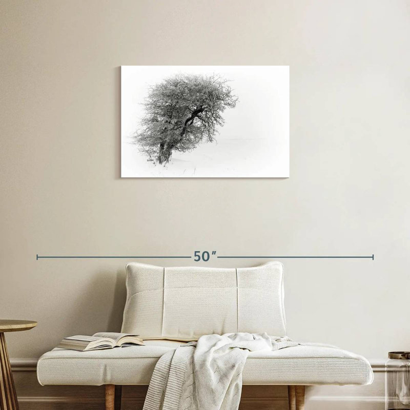 Alvord Resilience II, 20" H x 30" W