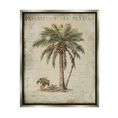 " Vintage Palm Tree Study " by Andrea Haase
