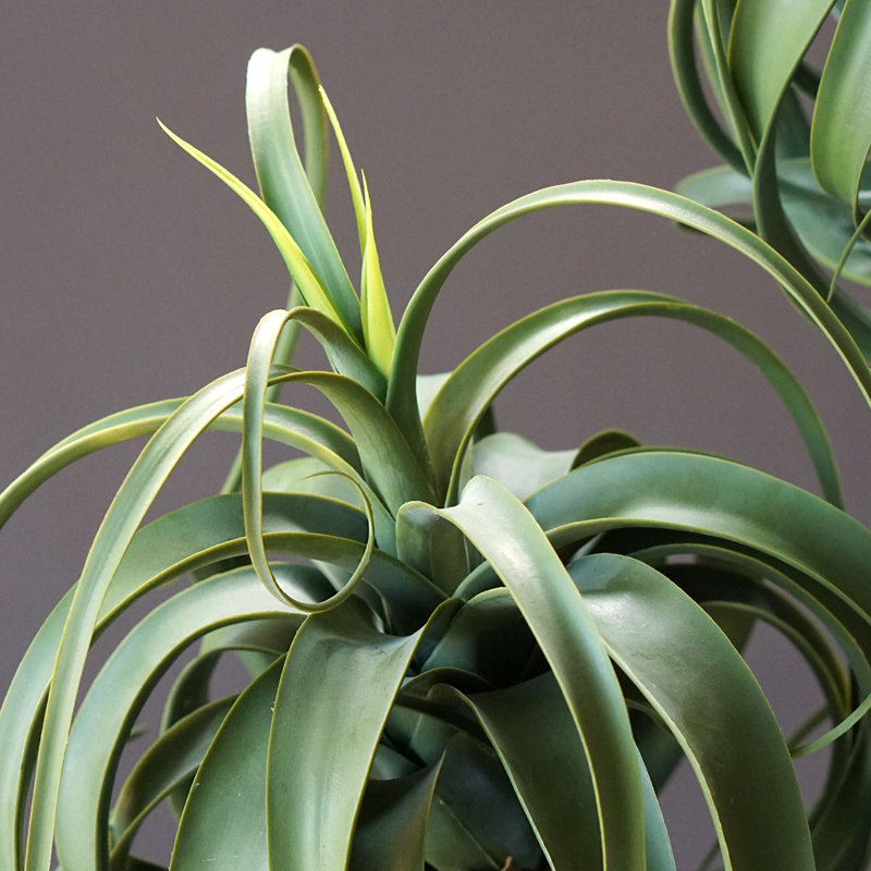Faux Potted Aloe Tree, 23' H x 14" W x 14" D