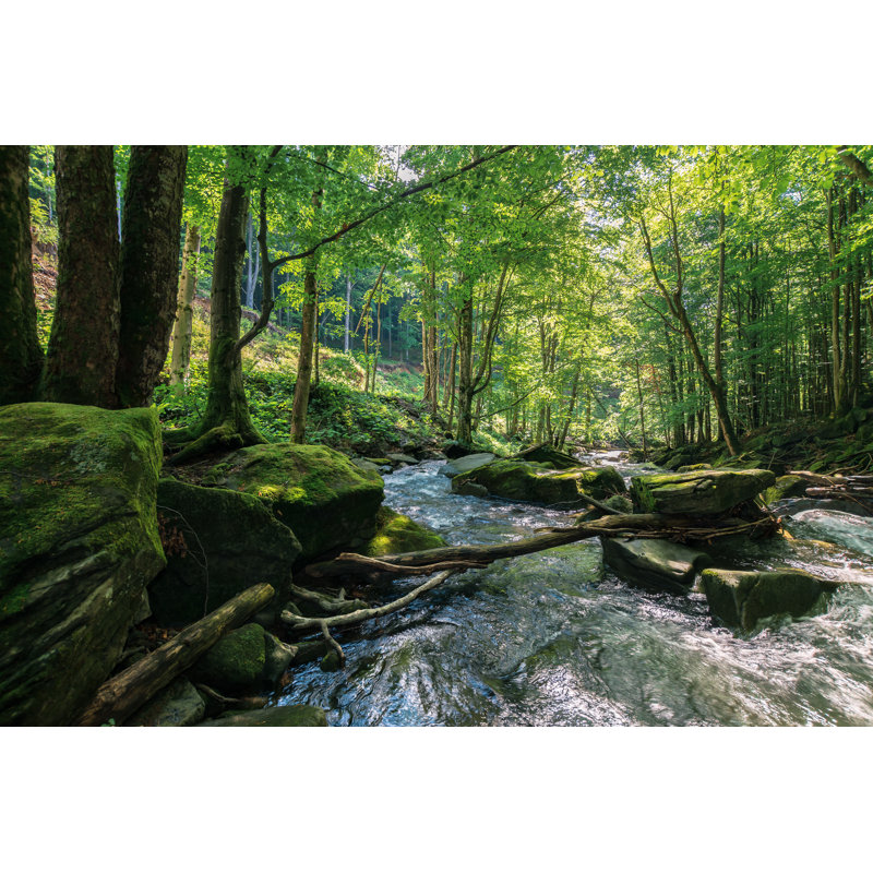 Stream In Forest by Mike_Pellinni - Wrapped Canvas Print, 61cm H x 91cm W x 3.8cm D