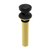 Argonaut Lavatory Push Drain