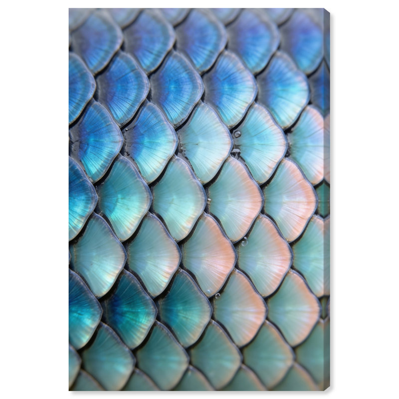 Mermaid Zoom Print by Oliver Gal, 15"H x 10"W, Gallery Wrapped