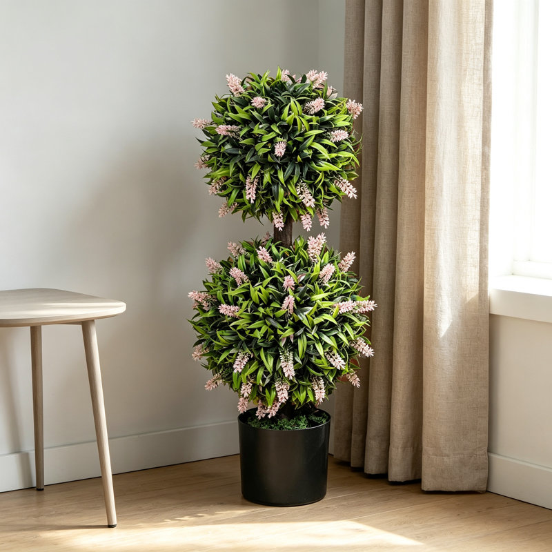 90cm Plant