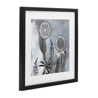 Grey Toned Dandelion Sky Framed Print Under Glass, design by Sophie 6