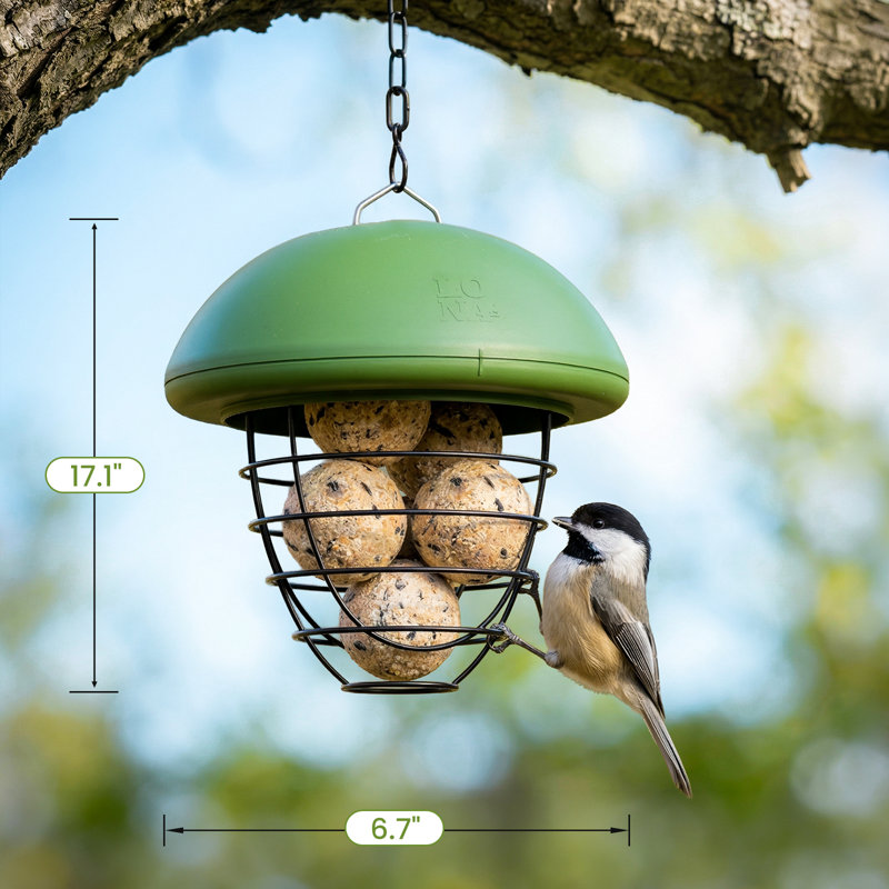 Mangeoire à boules pour l'extérieur Suet Ball