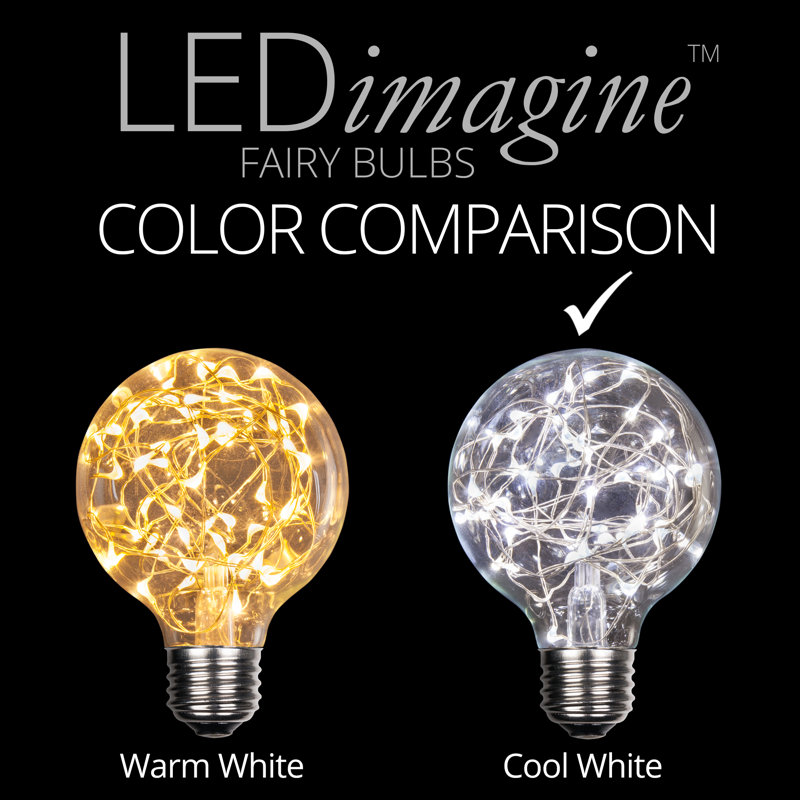 25 Watt Equivalent G80 LED, Non-Dimmable Light Bulb Cool White (7000K) E26/Medium (Standard) Base
