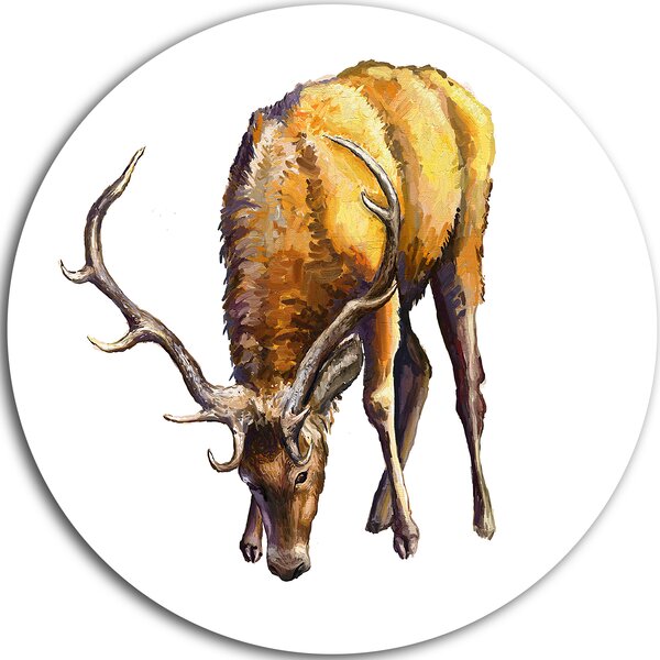 DesignArt Male Deer Illustration Art On Metal Print | Wayfair