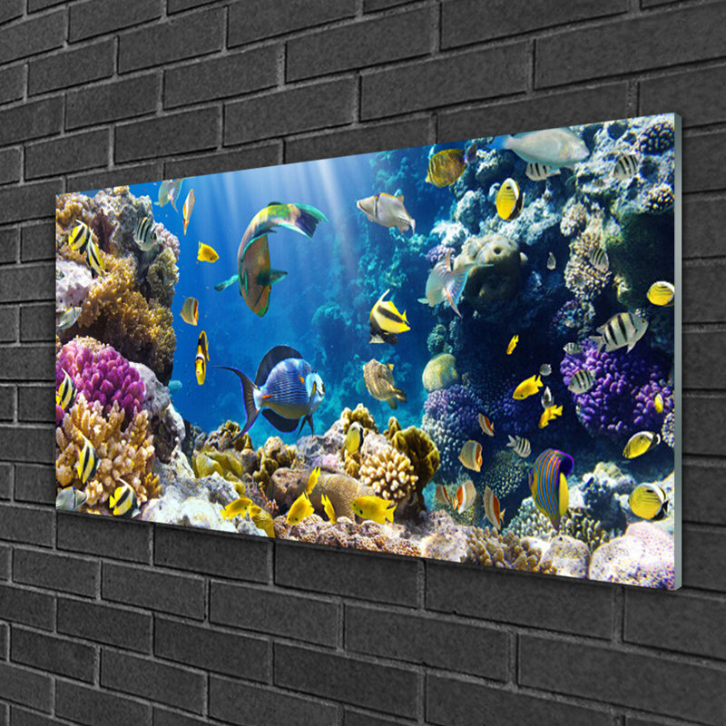 Nature Coral Reef - Unframed Photograph on Glass
