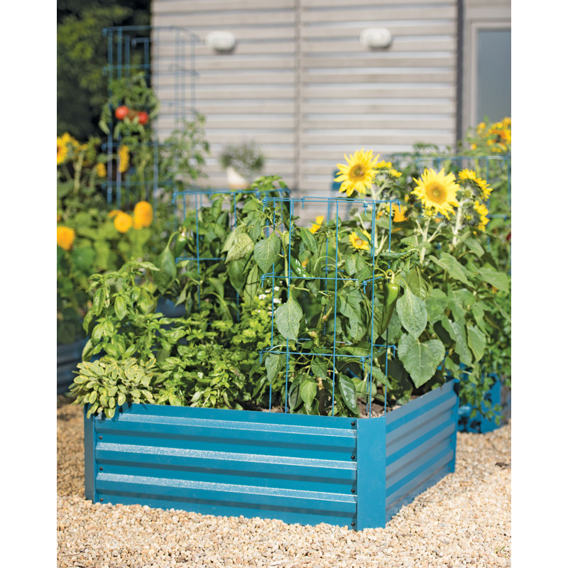 Deep Blue Corrugated Metal Outdoor Raised Garden Bed