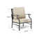 Argirios Metal Patio Chair with Cushions(Set of 2)
