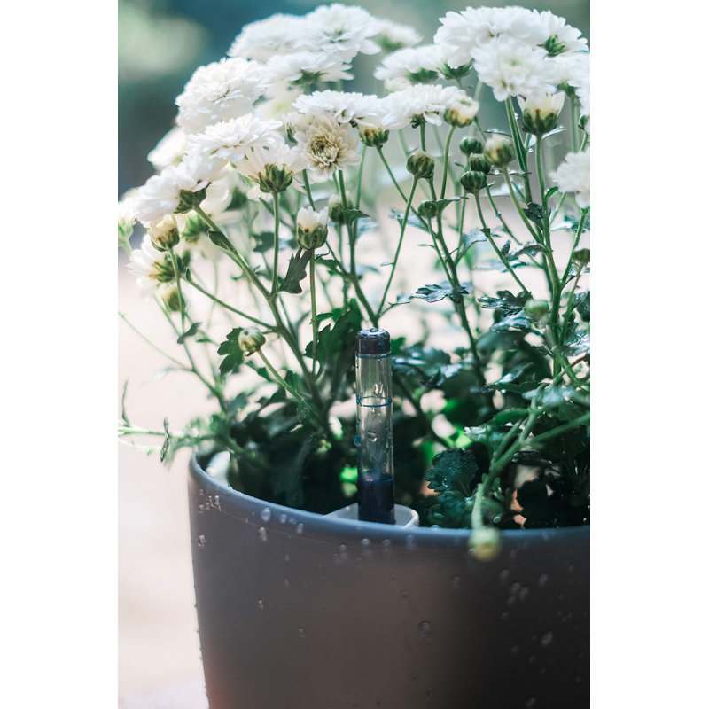 7'' Self Watering Planters For Indoor Plants - With Water Level Indicator For Flower Pot , Grow Tracking Tool - Coco Coir - Grey 3 Pack