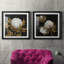 Cotton Balls I - Cadre photo-1492861061-1492861058-1492861057