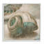 «Centered Sharkeye Seashell Texture patiné bleu clair» par Ziwei Li - impression d'art graphique-1688695324-1693992264