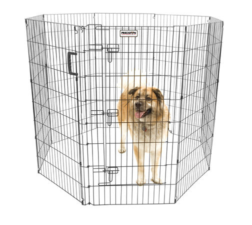 Enclos pour chien Orson Ultimate, H 48 po