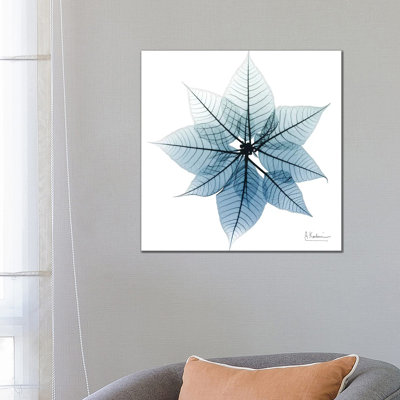 Iced Poinsettia I by Albert Koetsier - Wrapped Canvas Print