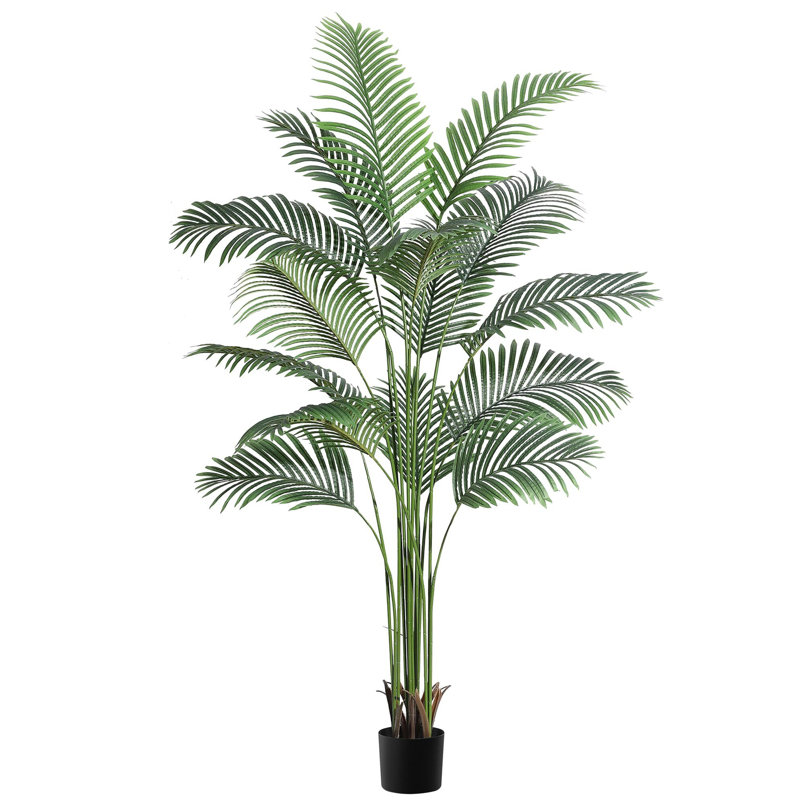 84 plantes