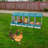 5-Compartment Chicken Nesting Box-2025856242
