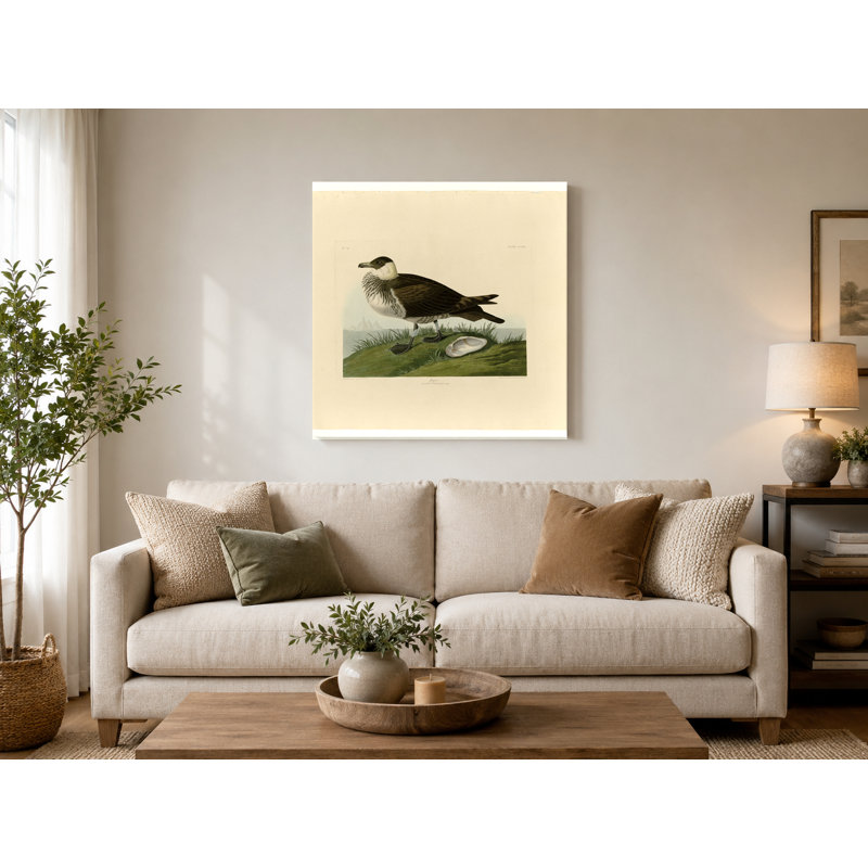 Jager, plaque 253 (Lestris Pomarinus) - art mural carré sur toile, 12" W x 12" H