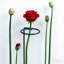 Ensemble de 6 piquets de soutien 16 po, 6 tiges de jardin simples