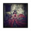«Butterfly Effect», impression sur toile-29277254-74730172-74748470