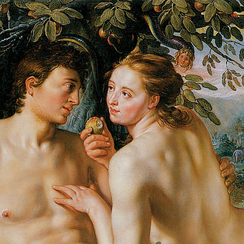 «The Fall of Man, 1616» par Hendrik Goltzius, reproduction d'art encadrée, H 23,75 po x l 29,25 po x P 1,875 po