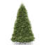 Sapin Dunhill-748437005