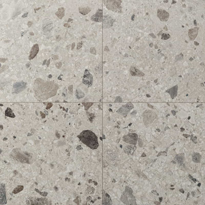 Carrelage de sol et de mur en porcelaine mate 23,54 po x 23,54 po Stonehenge (11,62 pieds carrés / caisse)