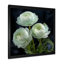 «White Ranunculus Radiance Layers Of Beauty» - art mural Renoncule-525566745-525566751