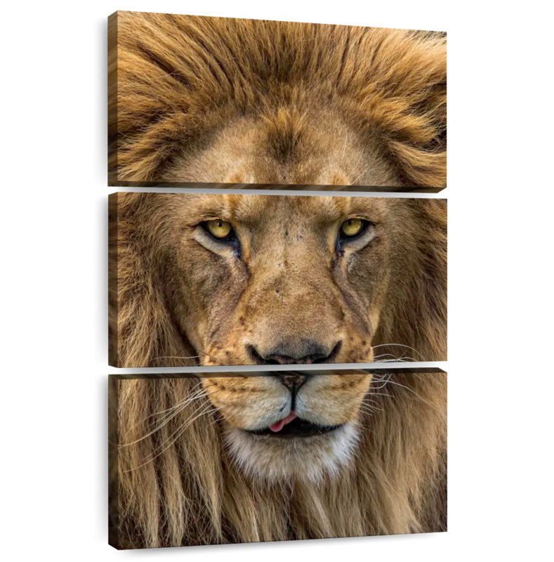Brampt Handsome Lion Head, 57" H x 36" W