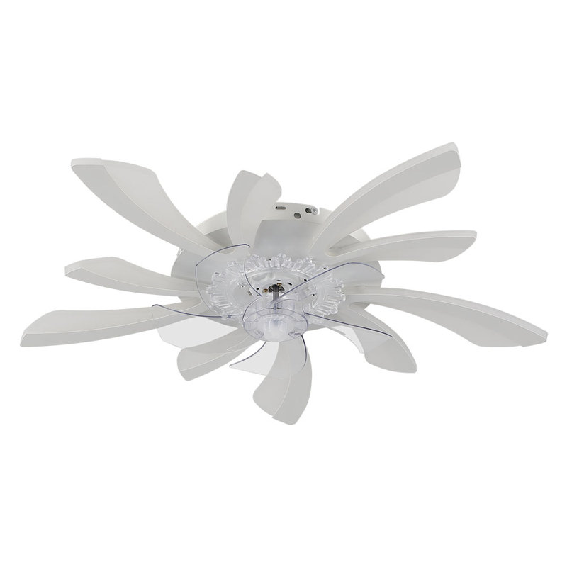 Annuska 78cm Ceiling Fan with LED Lights, White