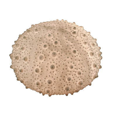 Lampe de table blanche Huxton