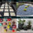 Rainforest Beach Landscaping Rocks-41511864