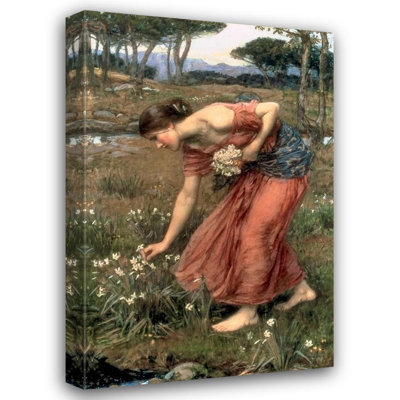 Narcissus
