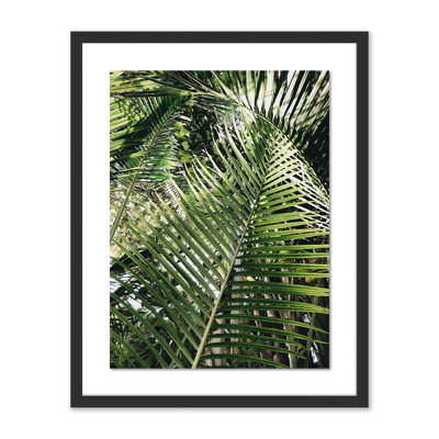 Palm I Print by Vitaliy Paykov