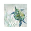 Seaglass Turtle II by Carol Robinson - Wrapped Canvas Painting-626081960-620405273