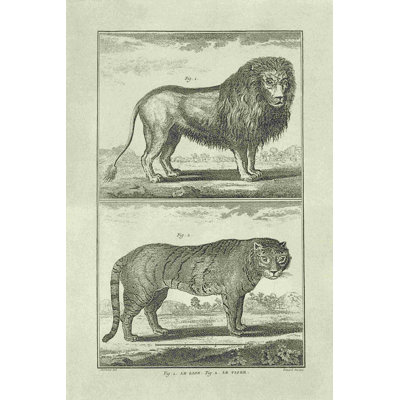 Lion et tigre