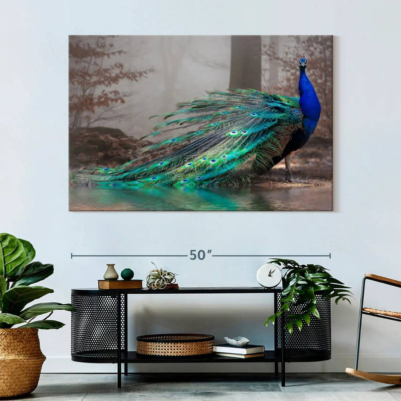Élégant paon bleu sur toile, H 34 po x l 51 po