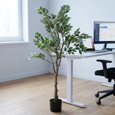 Ficus artificiel dans un pot en plastique, fausse silhouette réaliste avec tronc torsadé et feuilles brillantes