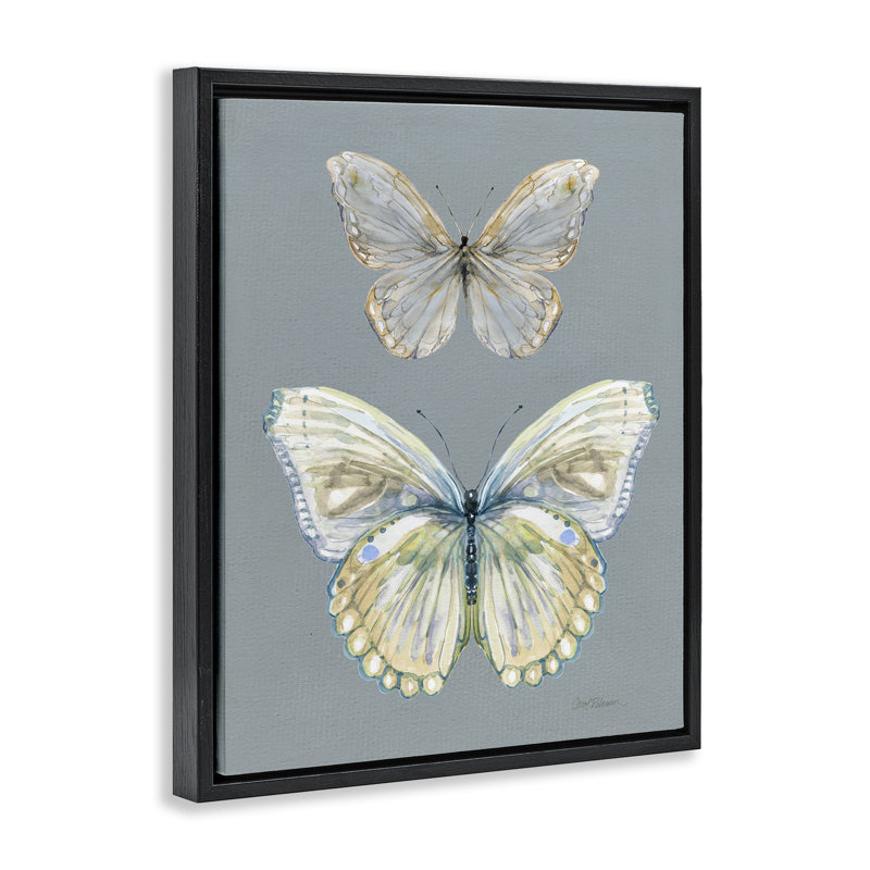 Cadre flottant Papillon, étude par Carol Robinson, Cadre flottant noir de jais, H 21 po x l 17 po