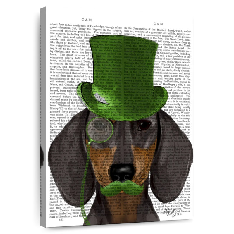 Teckel Brampt avec chapeau vert, brun clair, H 51 po x l 34 po