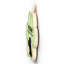 Gruia Wall Decor