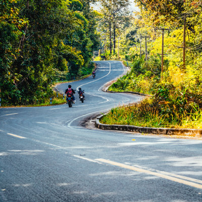 Winding Road Through Forest by Deimagine