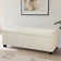 Aiyahna 46.85" Wide Rectangle Upholstered Storage Ottoman