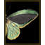 Gilded Wing 2 Print